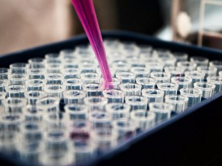 Cosmetics Manufacturing, Import, Export, and Distribution